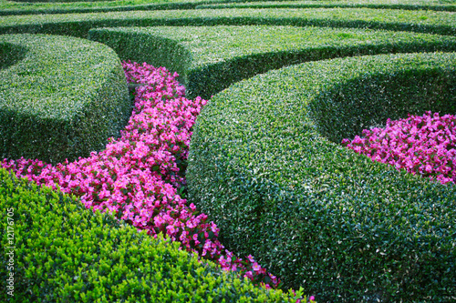 Photos flower-bed