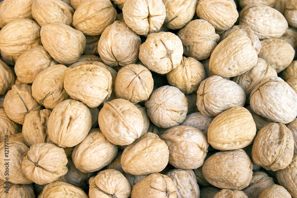 circassian walnuts circassian walnuts