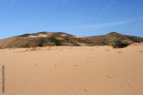 Kelso Sand Dunes, Mojave Desert, California