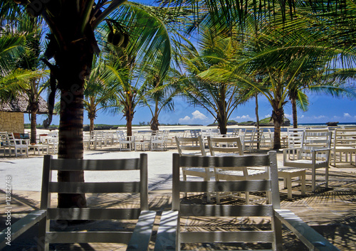 Unter Palmen in der Watamu Bay