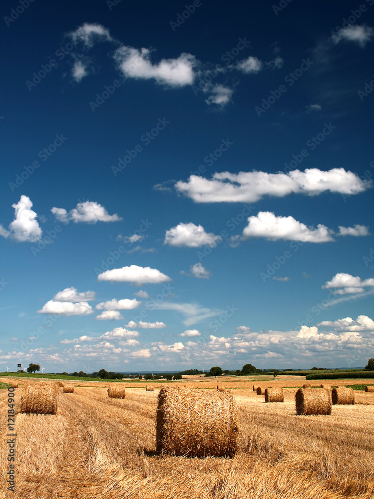 Fototapeta premium ErnteZeit