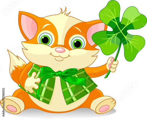 Clover kitten