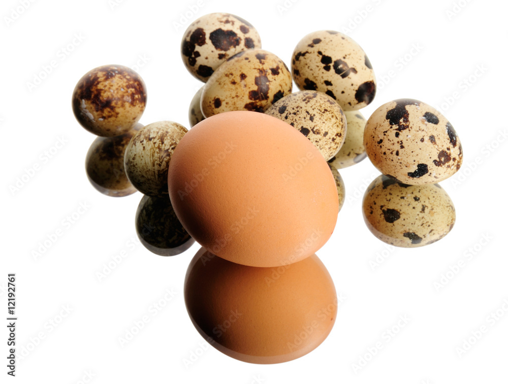 Chicken egg and quail eggs isolated on white