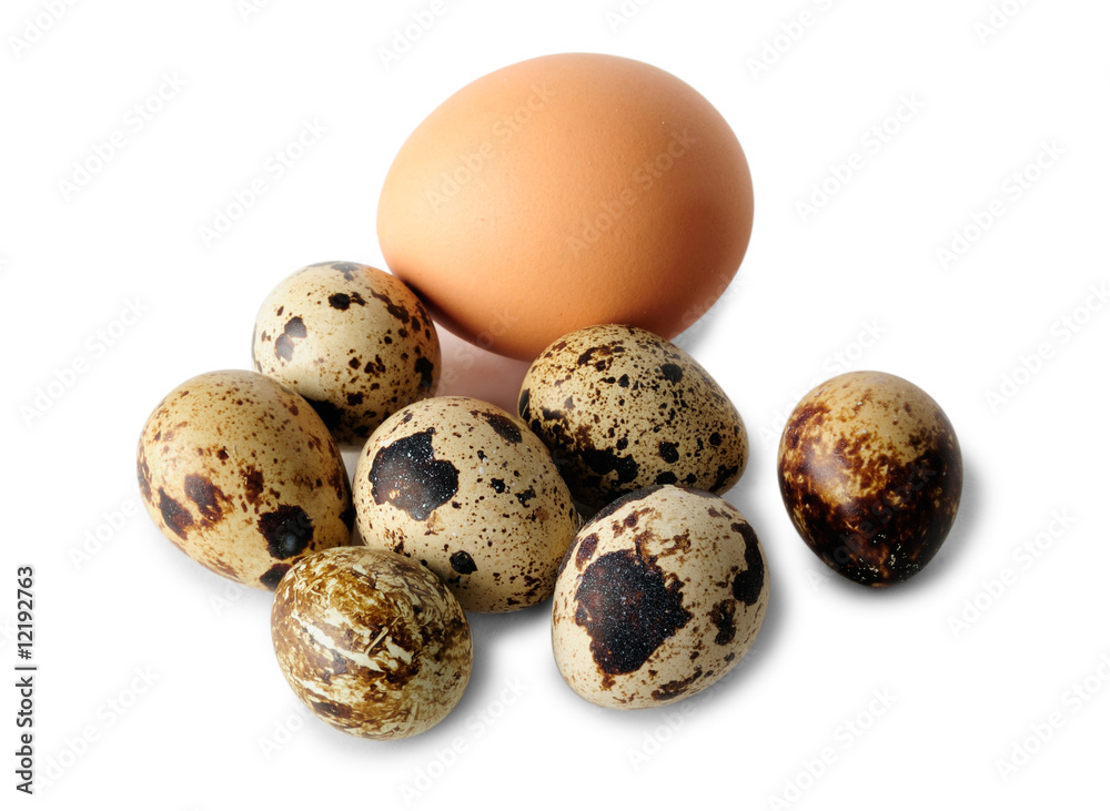 Chicken egg and quail eggs isolated on white Chicken egg and quail eggs isolated on white