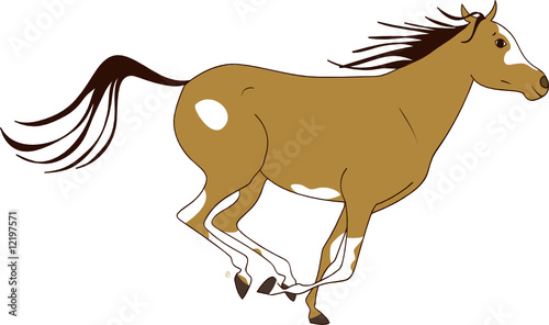 jument arabe pie au galop