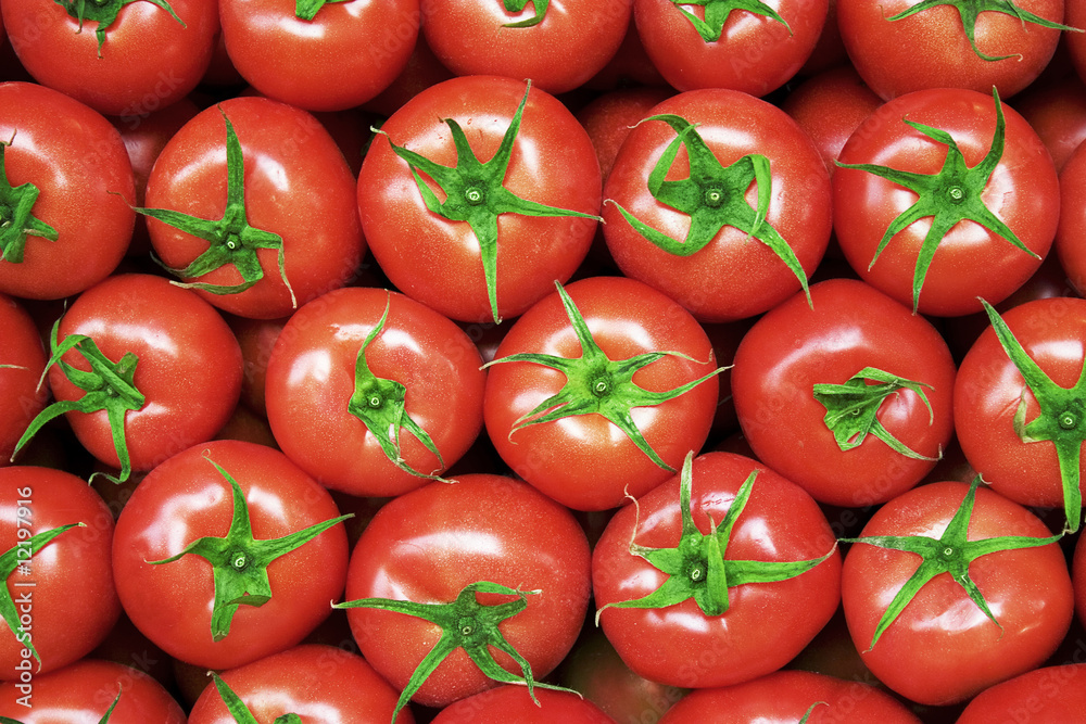 tomatoes tomatoes