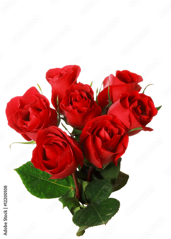 Fototapeta premium Red Roses Bouquet