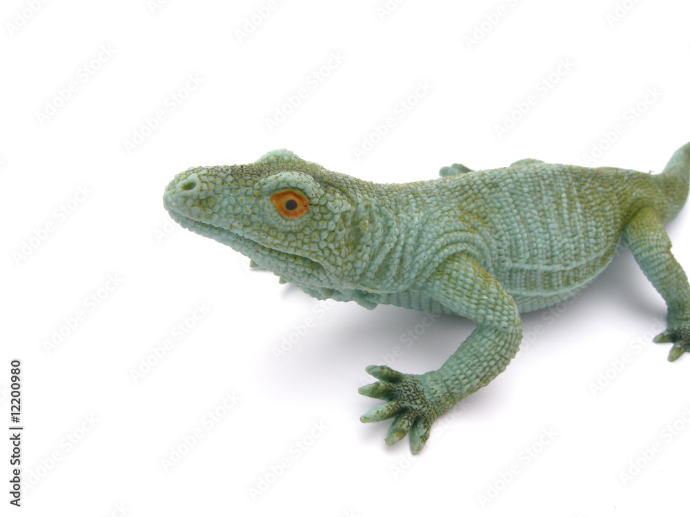 Obraz premium Eidechse