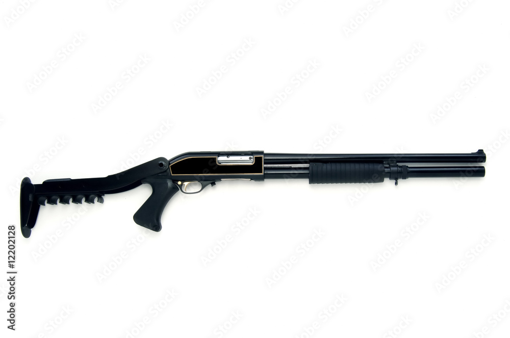automatic rifle automatic rifle