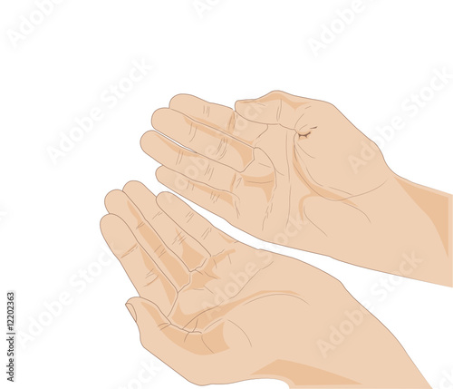 Two open hands - close up - vector illustration