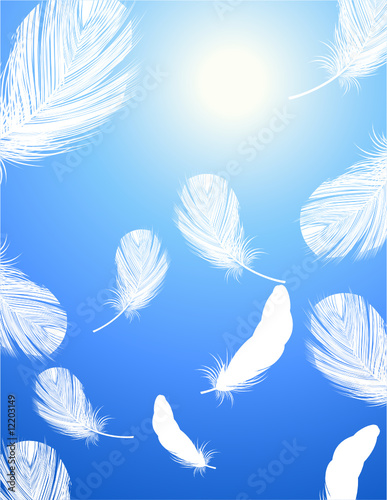 Feather background
