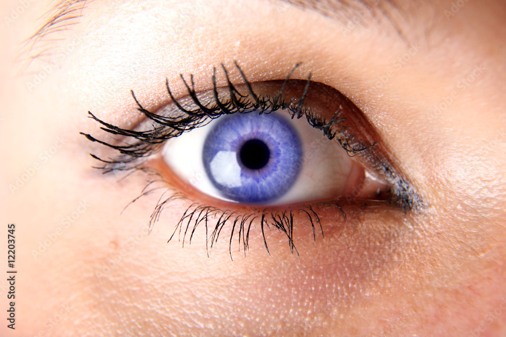 Fototapeta premium blue eye