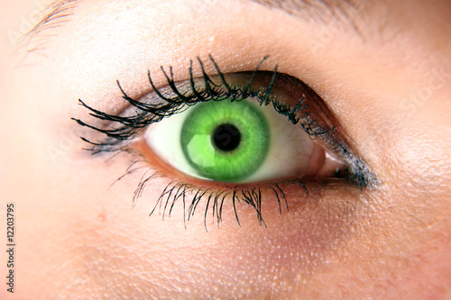 Εκτύπωση καμβά green eye