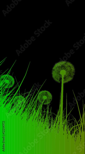 FLUORESCENT GREEN DANDELIONS BLACK BACKGROUND