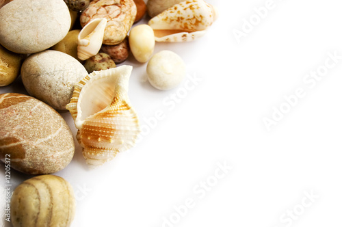 Obraz na płótnie Sea shells collection