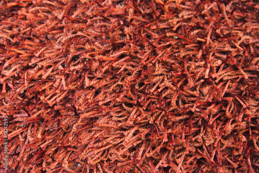 fragment of carpet fragment of carpet