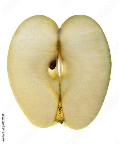 Cross section of an Apple