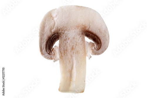 Slice of Button Mushroom - isolated against white