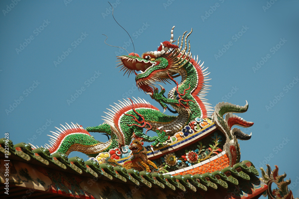 Fototapeta premium dragon