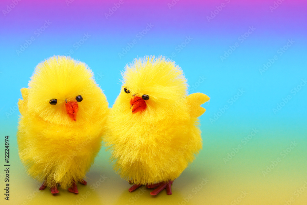 Easter chickens on colorful background