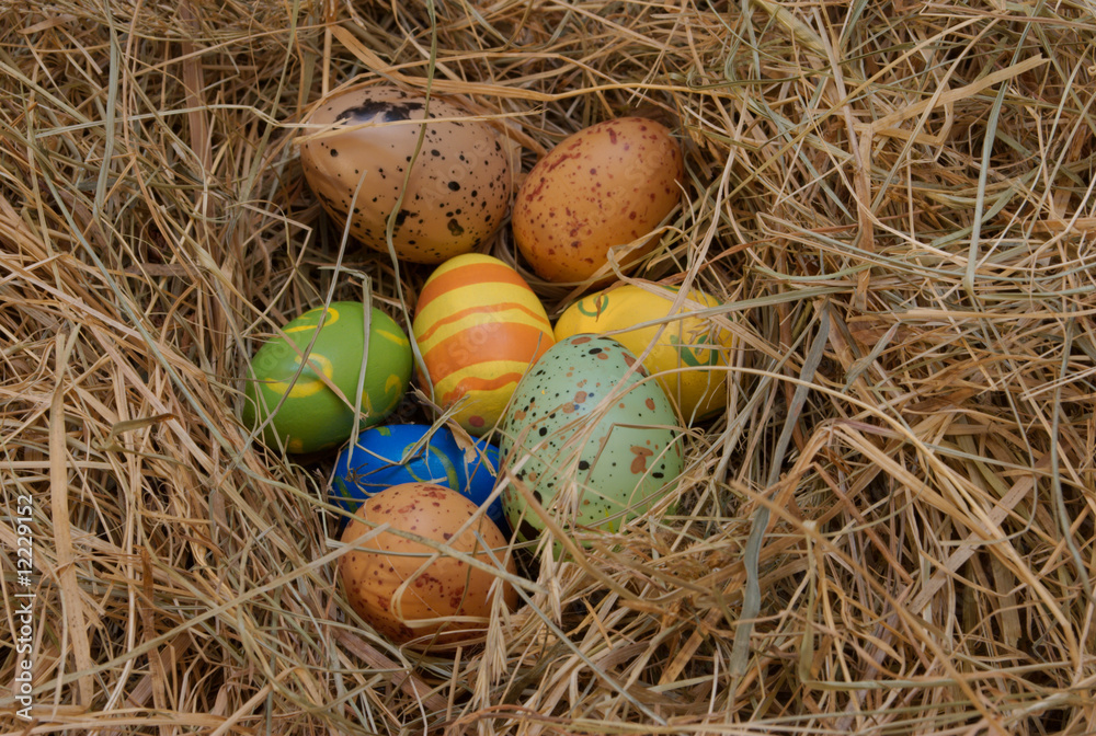 Obraz premium Osternest