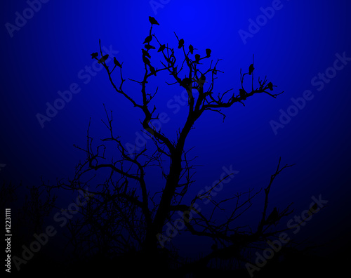 Birds On A Tree Silhouette