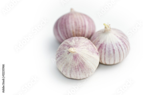 Garlic solo