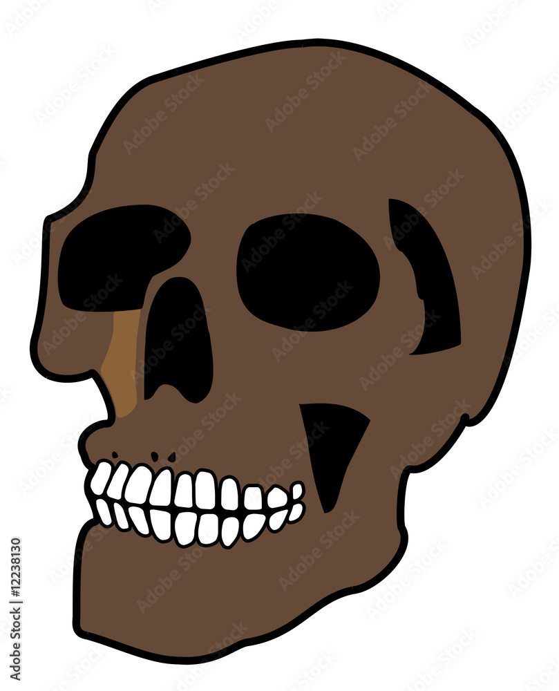 Fototapeta premium schädel