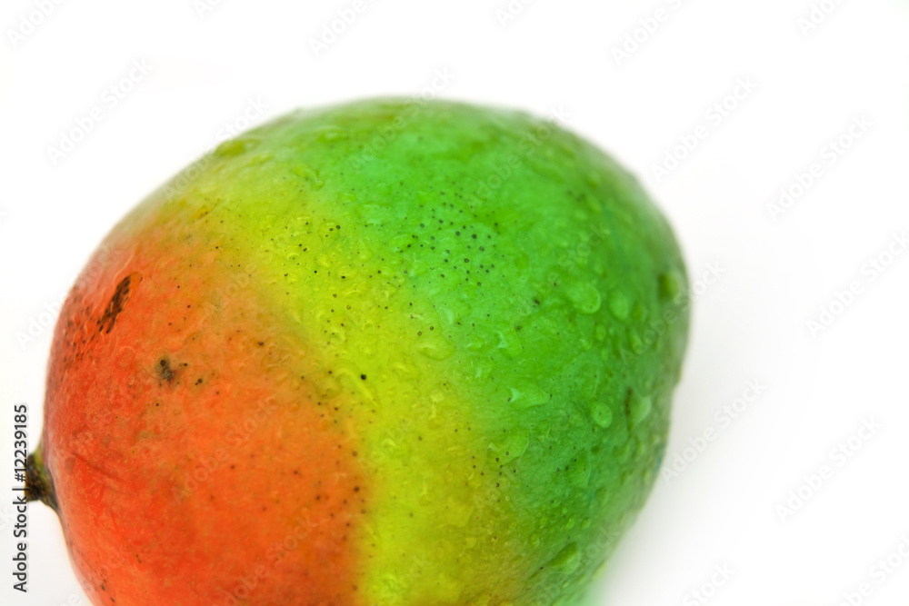 Fototapeta premium Mango fruit