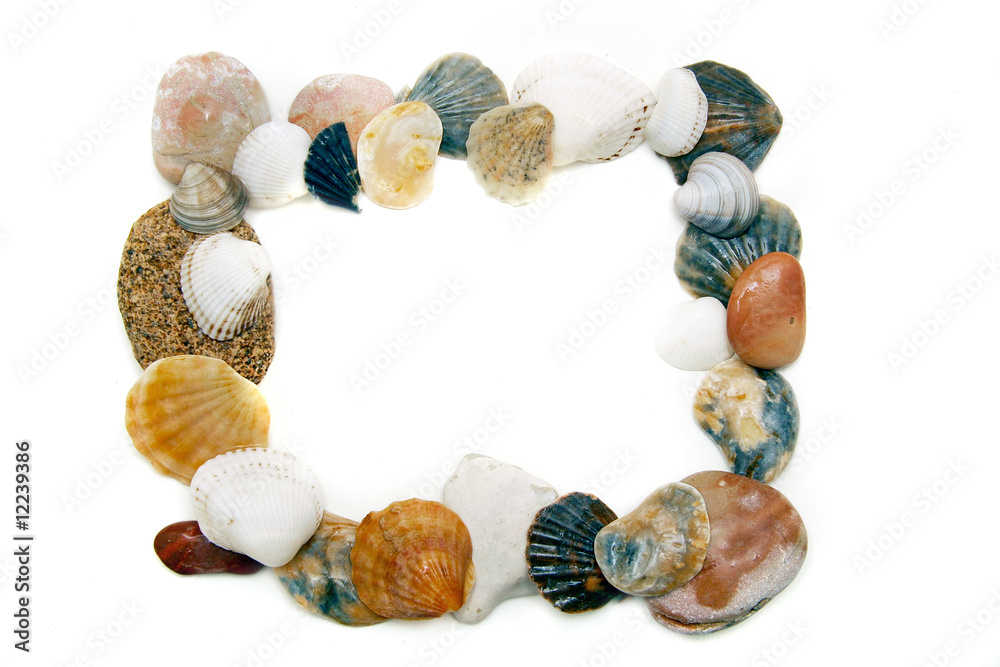 Fototapeta premium frame from seashells and stones over white