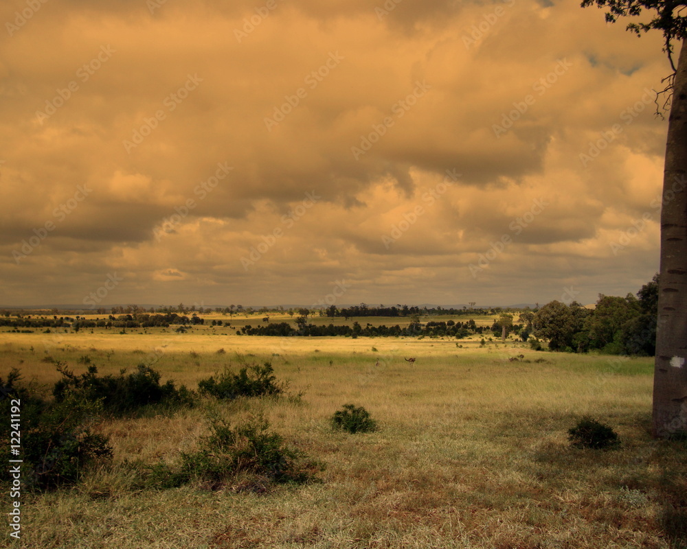 plaine australiennes