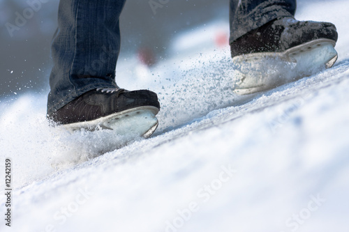 фотографія Skates 1