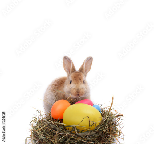 Happy Easter says bunny
