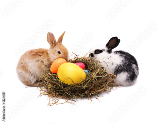 Teamwork of Easter bunnies