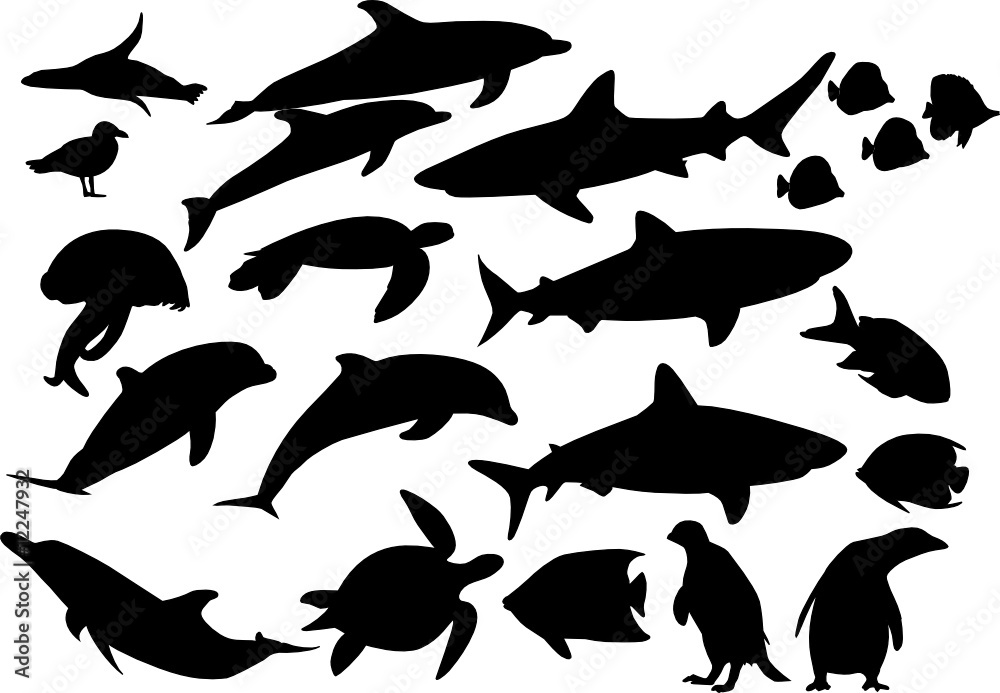 poisson poisson