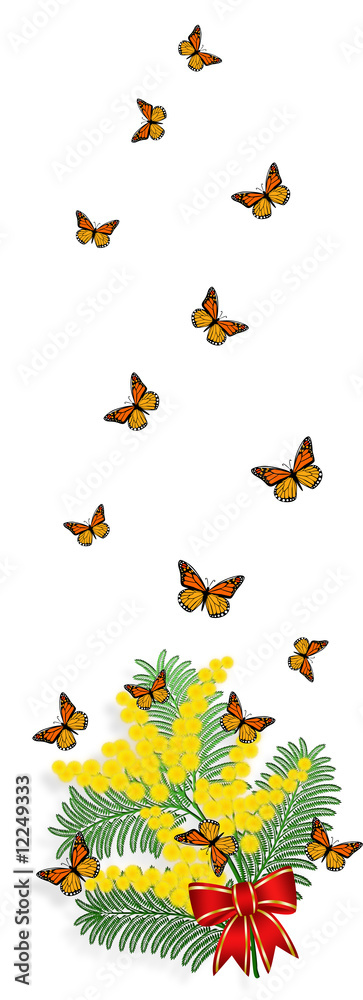 Banner verticale con mimosa e farfalle