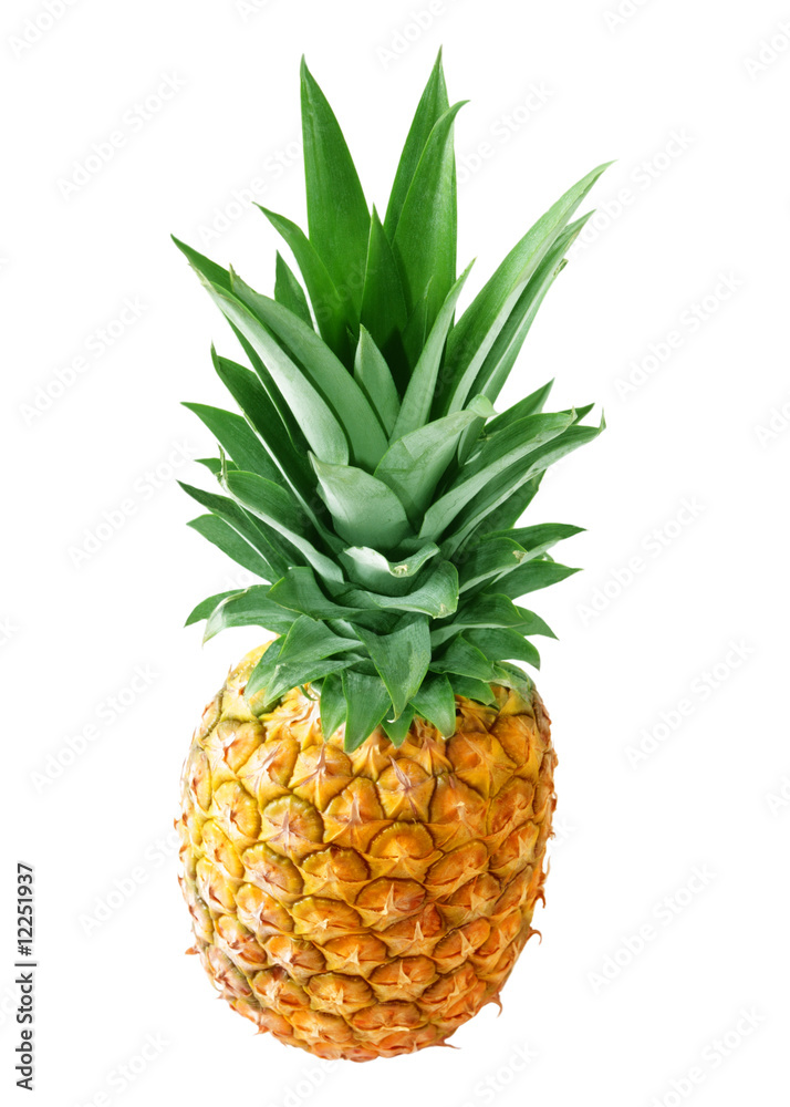 Fototapeta premium Pineapple