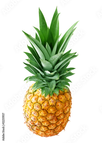 Pineapple