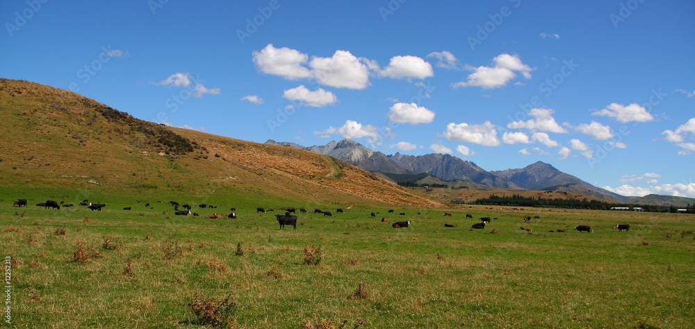 Paysage de Nouvelle Zélande