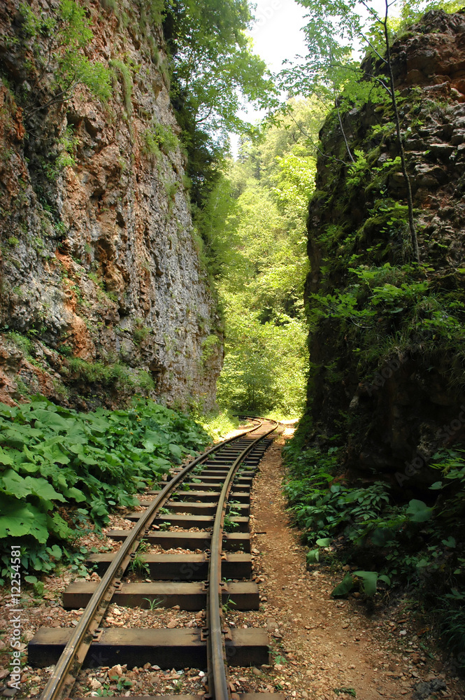 Obraz premium Railway in the Mountains, valley