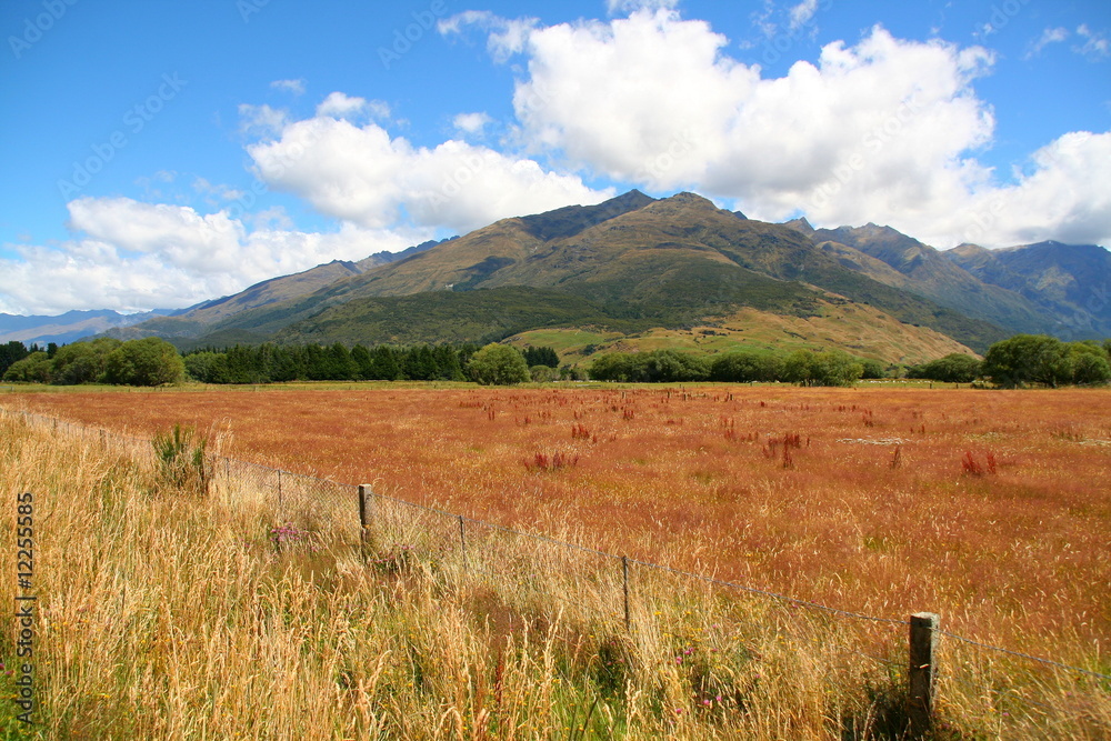 Fototapeta premium Haast pass