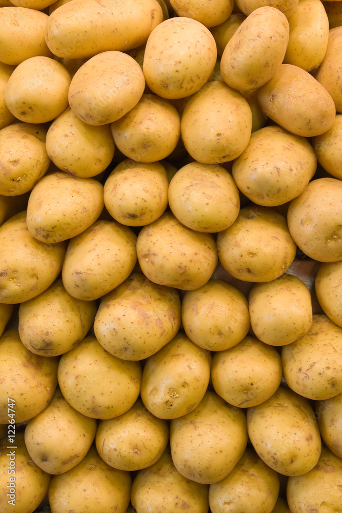 background made of fresh potatoe background made of fresh potatoe