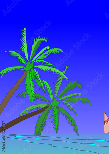 plage et 2 palmiers
