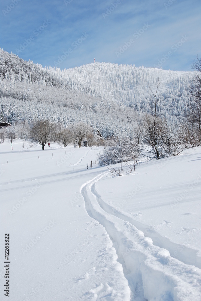 winter country