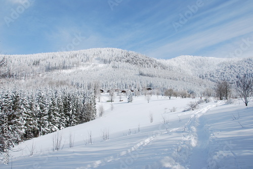 winter footpath © Aleš Nowák