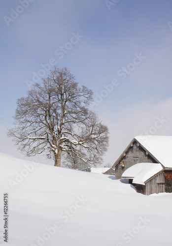 Ferienhaus in den verschneiten Alpen