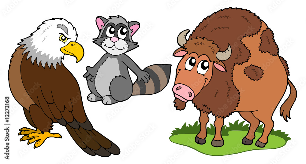 North American animals collection
