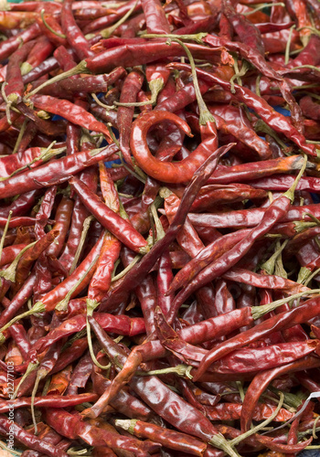 Chiles de Arbol photo