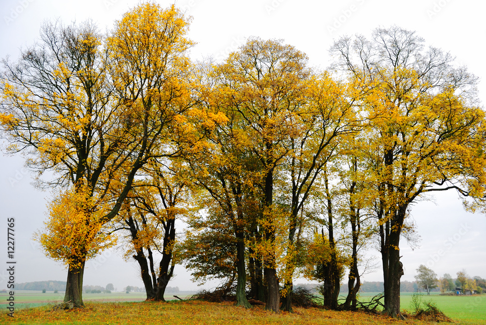 Herbst