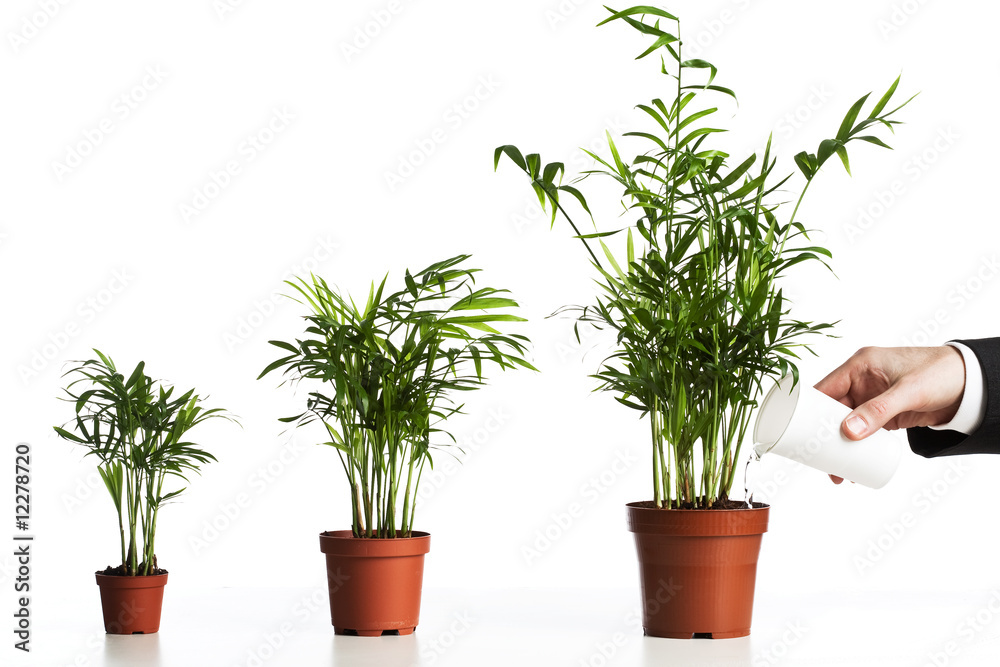 Obraz premium Concept developpement